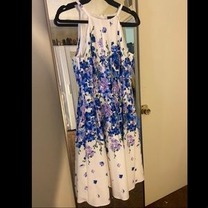 Adrianna Papell Fit & Flare Garden Party Dress